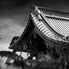 Littoral Series by Bruno Mercier