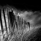fences series by Bruno Mercier 