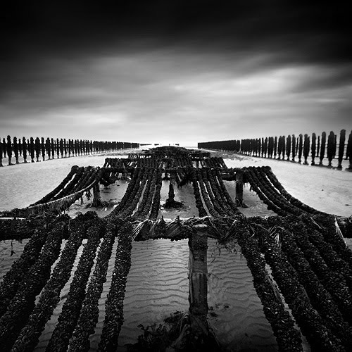leviathan by bruno mercier